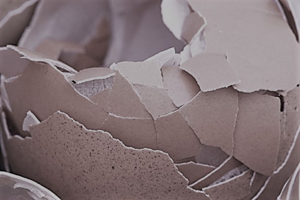 Eggshells