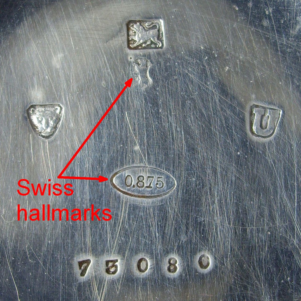 Fake and pseudo hallmarks in watch cases