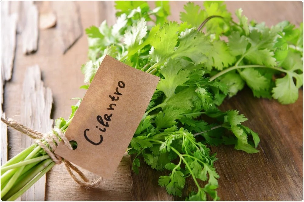 Why Is Cilantro Liquid Extract An Excellent Way To Boost Your Health