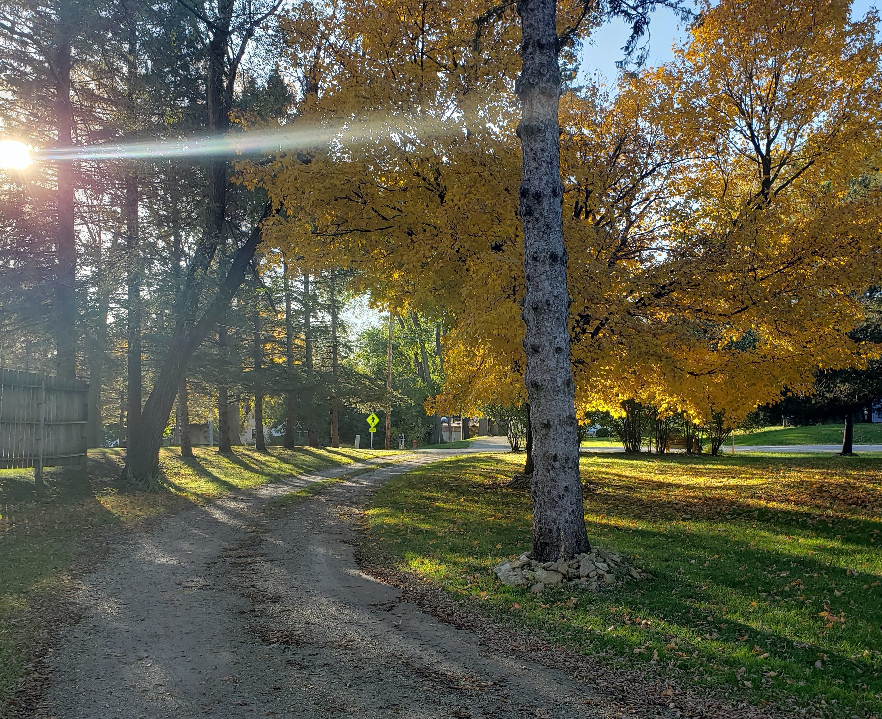 Furnished Short Term Housing Rochester MN Viola Suites