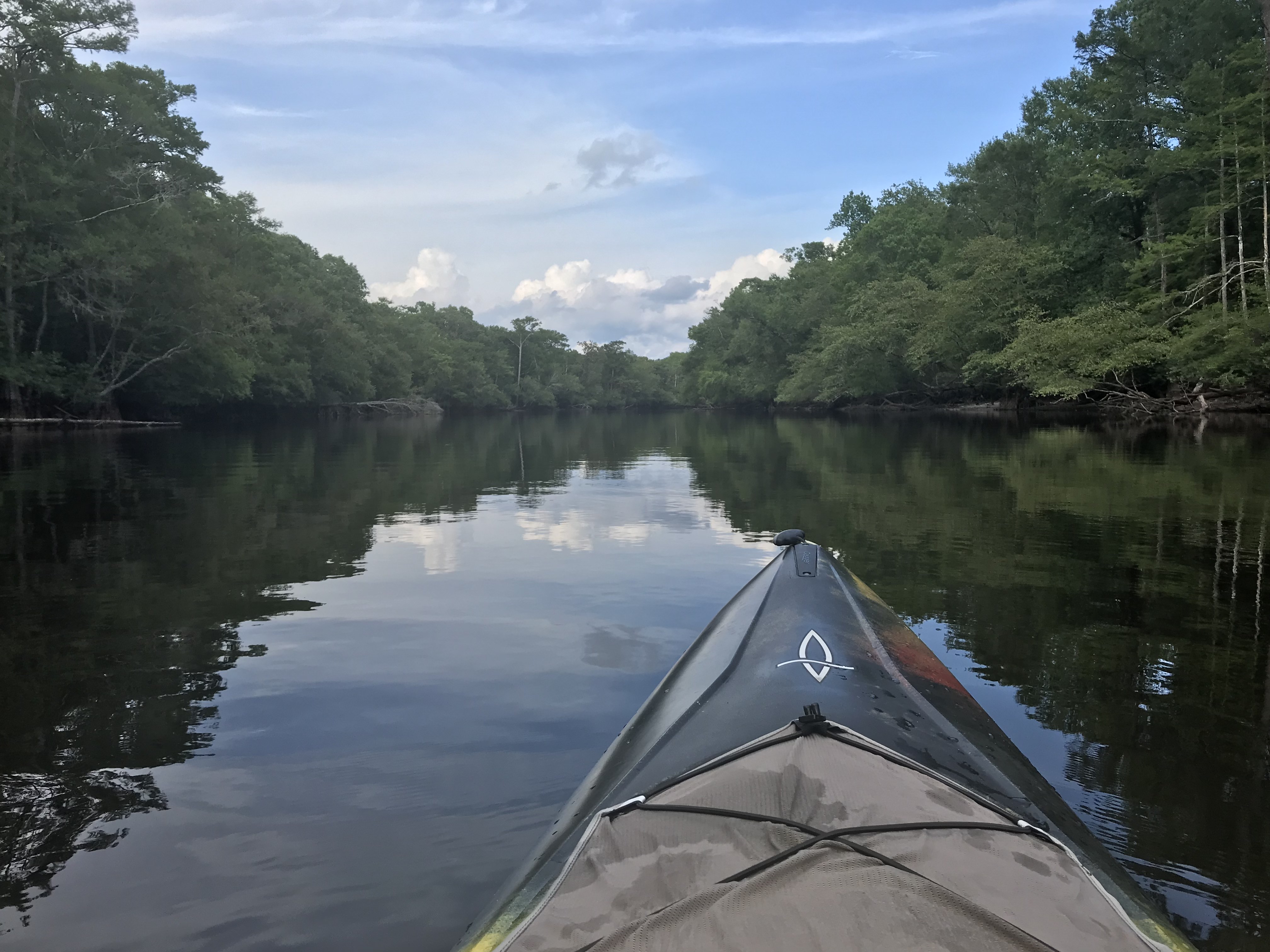 Paddling The Little Pee Dee River VIP Magazine