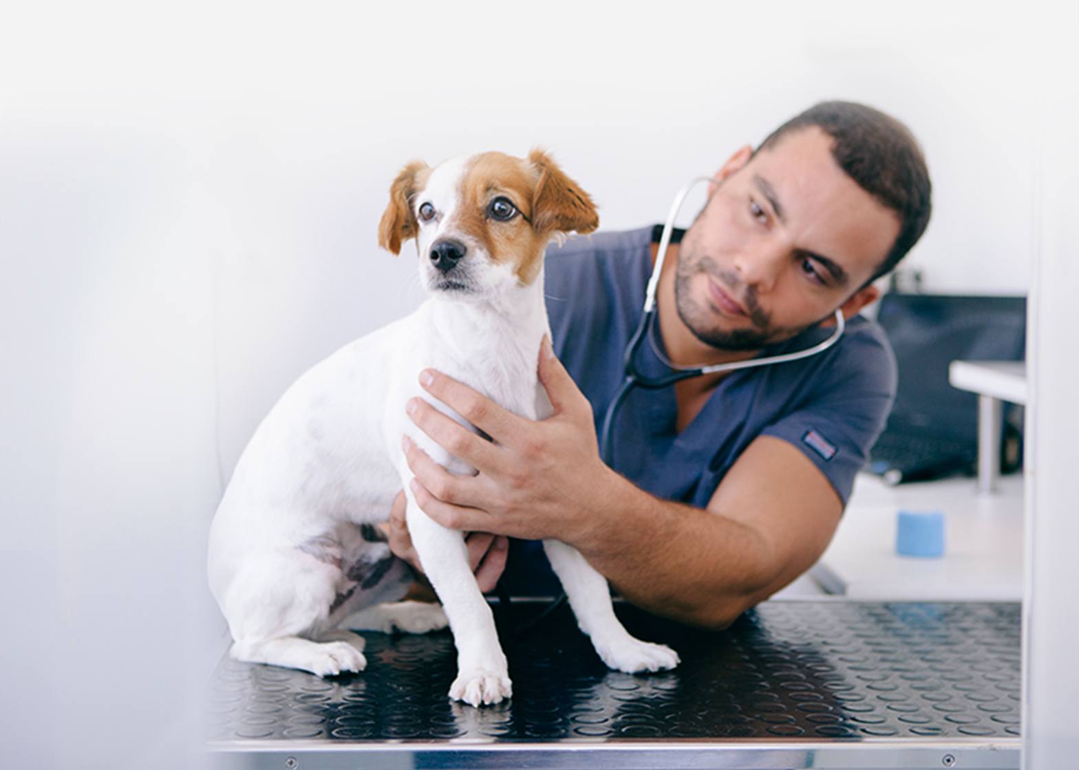 FullTime Vets VIP Petcare