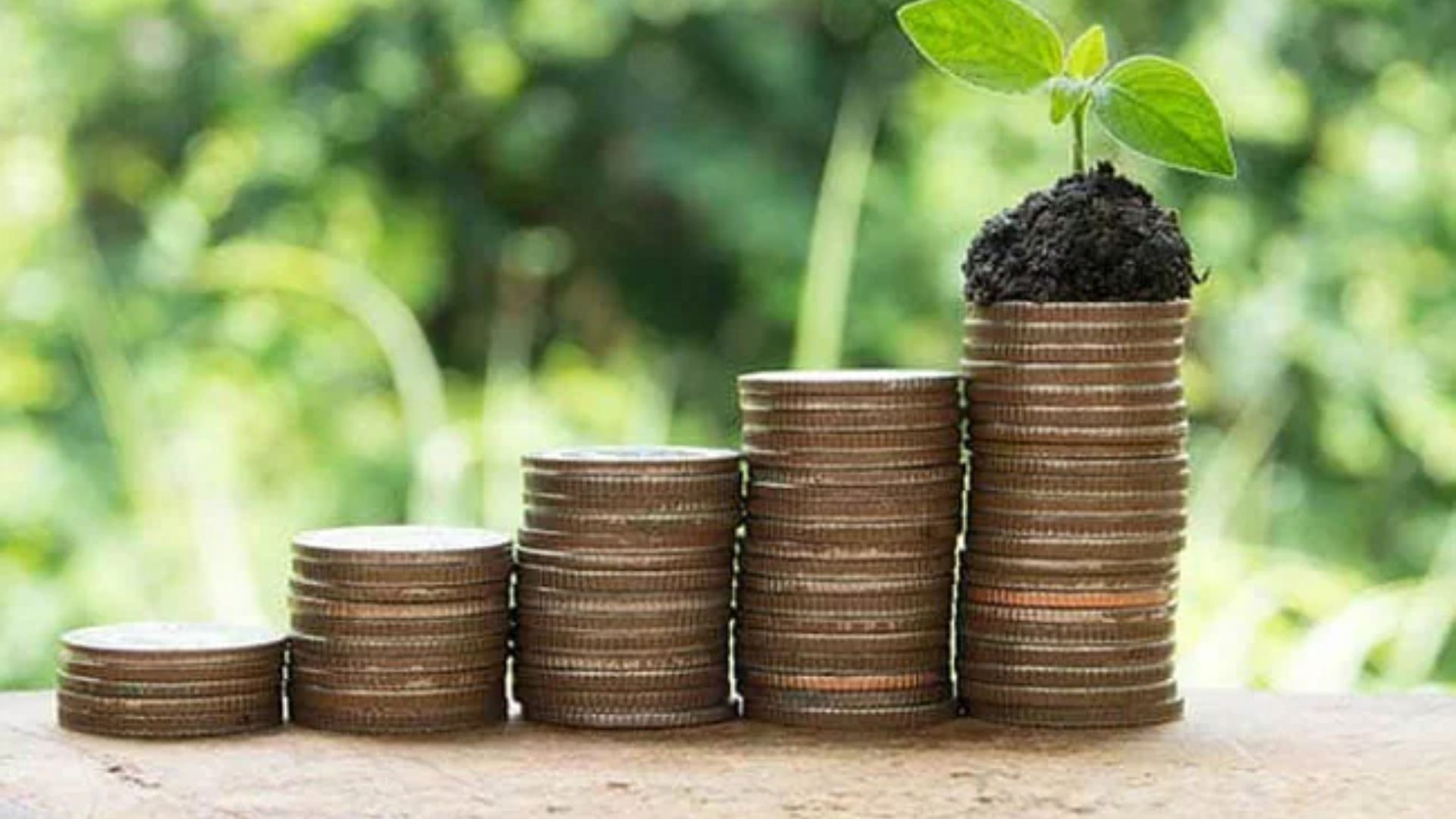 A Guide To Government Savings Schemes Options with Benefits & Details