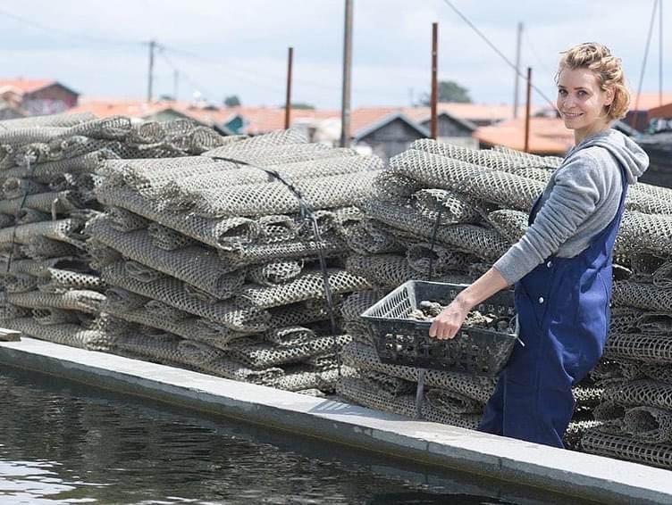 Oysters are a Superfood! Virginia Seafood