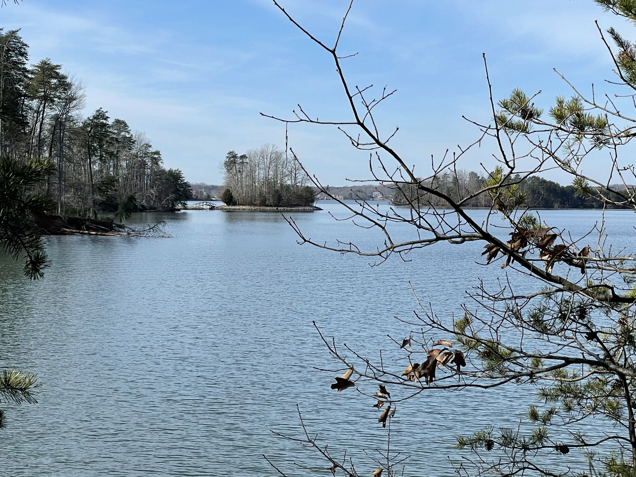 Living with Stage Four Lung Cancer April 2021 Update