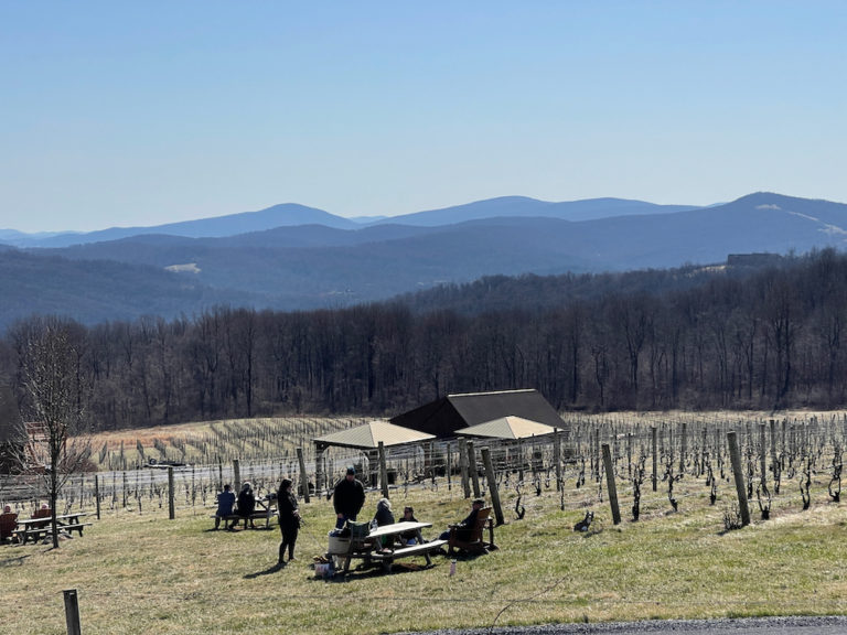 Fox Meadow Winery Virginia Wine Time