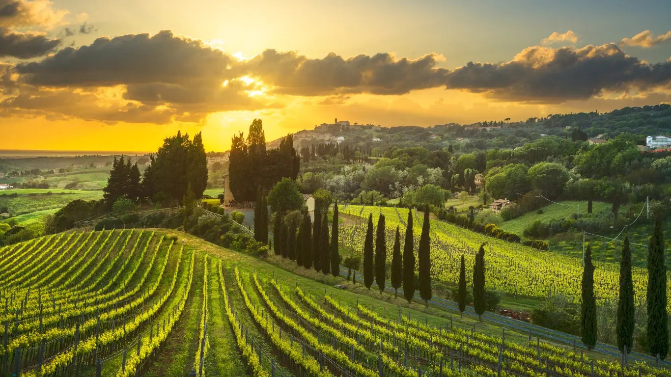 Italian Wine Regions Wine Guide Virgin Wines