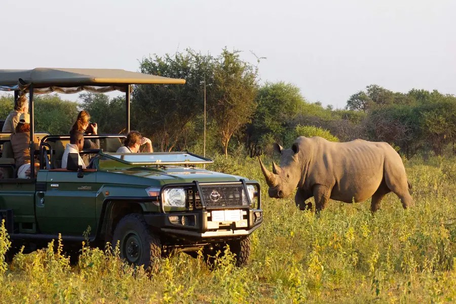 Book Luxury Safari Holidays with Virikson Holidays