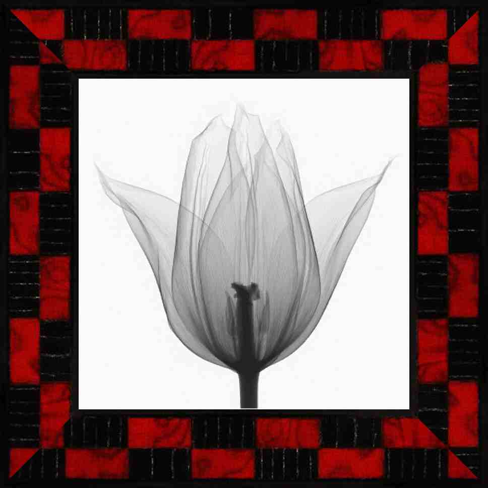 Online Picture Framing Software Virtual Frame