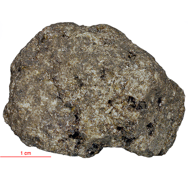 15546 (5) Coarsegrained Olivine Basalt