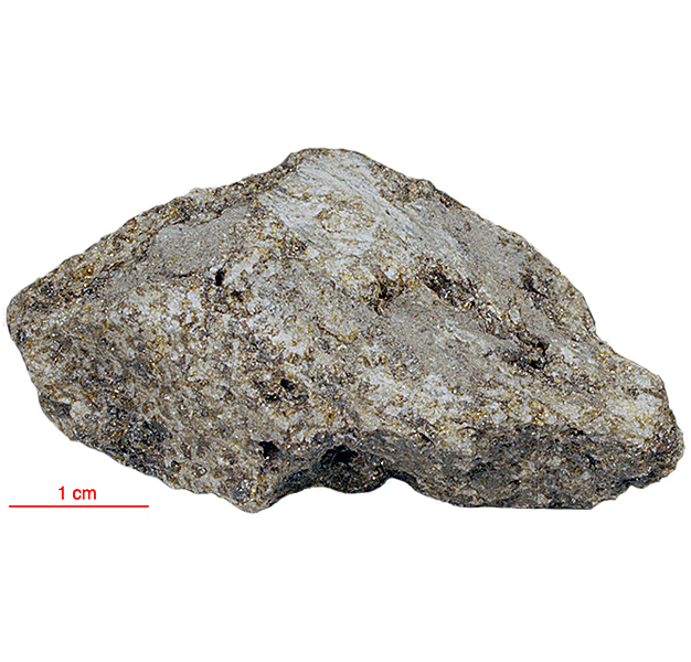 15547 (7) Coarsegrained Olivine Basalt