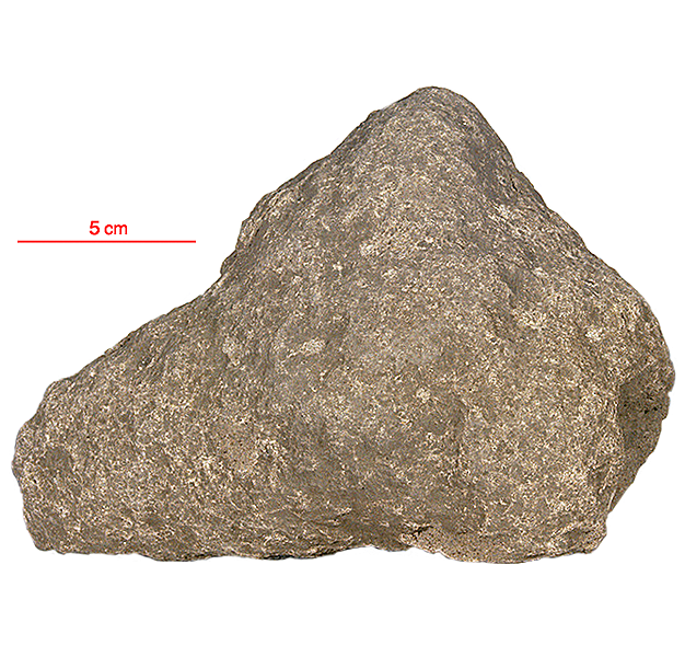 15557 (90) Olivine Basalt