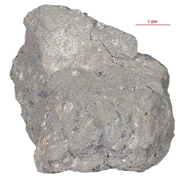 15636 (8) Olivine Basalt