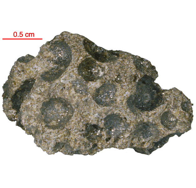 15623 (3) Vesicular Olivine Basalt
