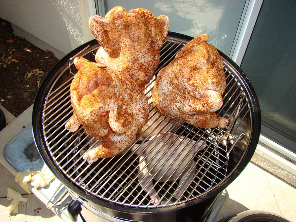 New 18.5" and 22.5" Weber Smokey Mountain Cookers for 2009 The