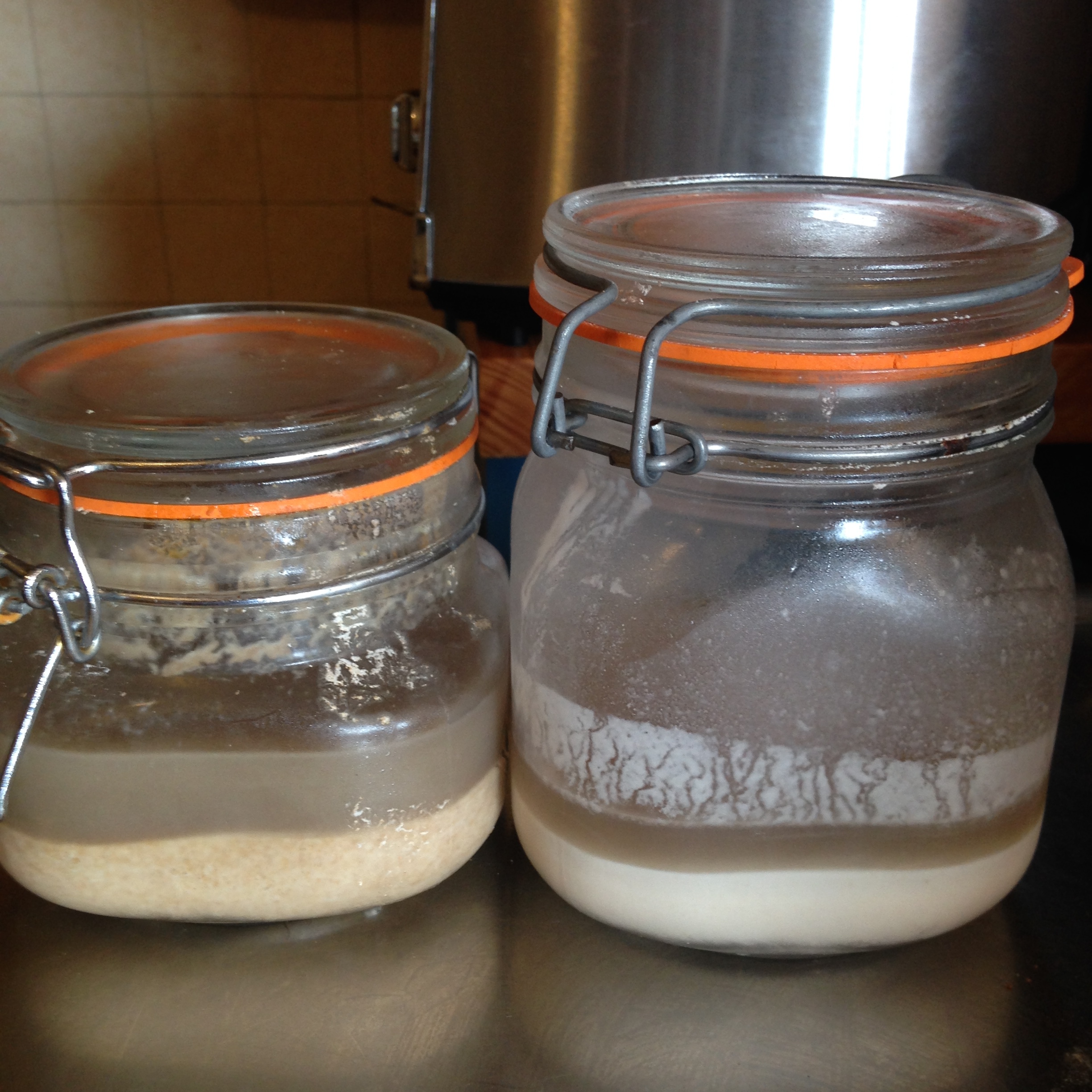 How do I store my sourdough starter?