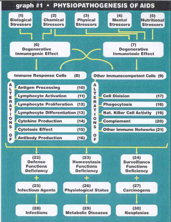 HIV & AIDS The Causes of AIDS