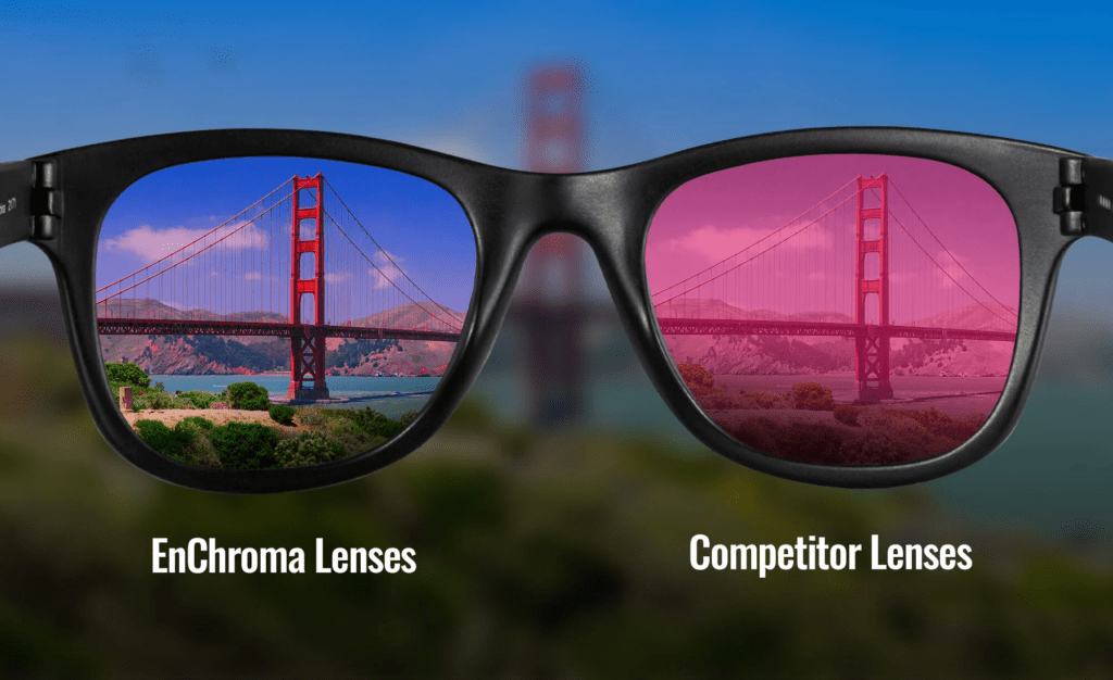 Do EnChroma Glasses Really Work for Colorblindness?