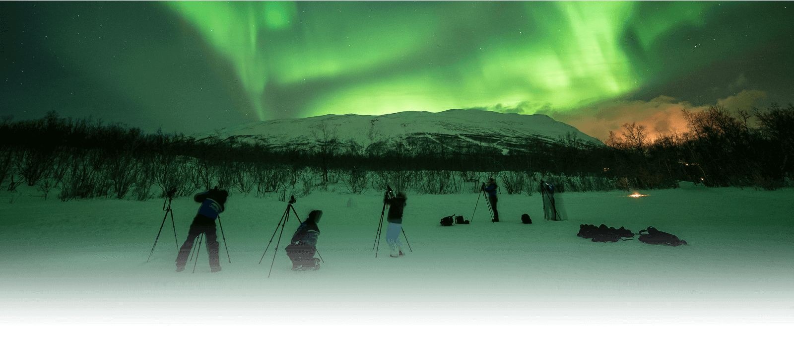 Abisko Northern Lights in Sweden Northern Lights Tours by Visit Abisko