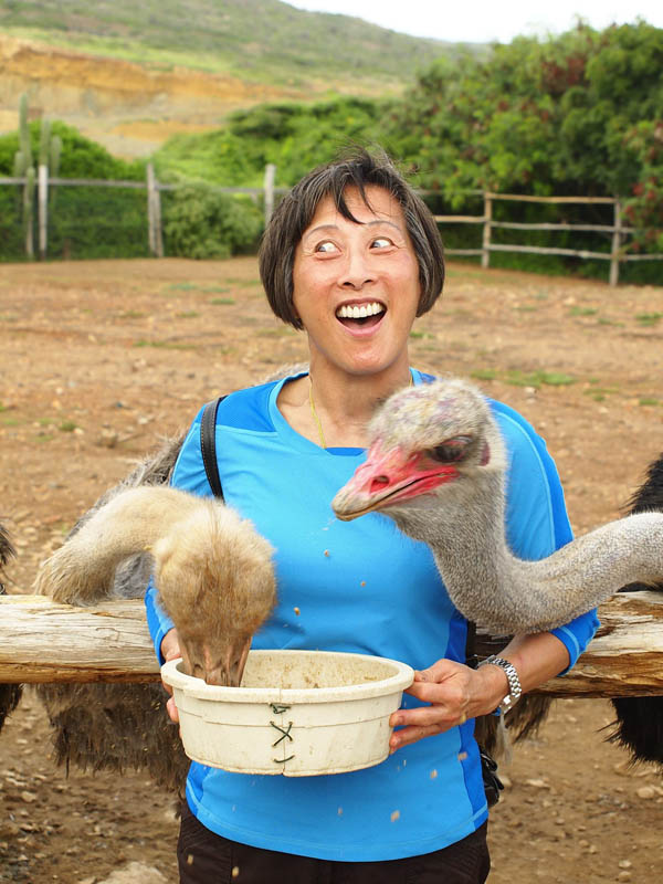For family fun and entertainment, a tour of the Aruba Ostrich Farm is a