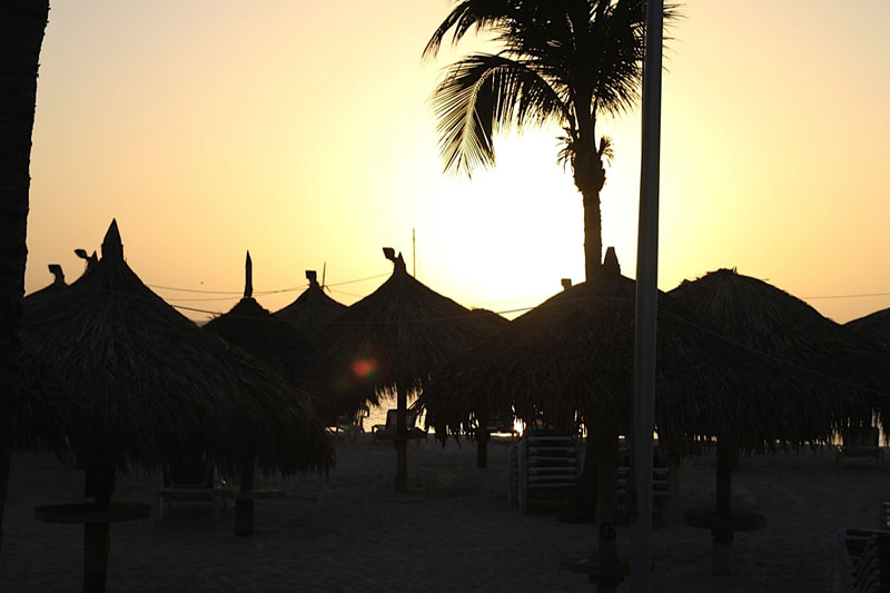 Aruba Radisson Resort launched Friday Fish Market at Gilligan’s Beach