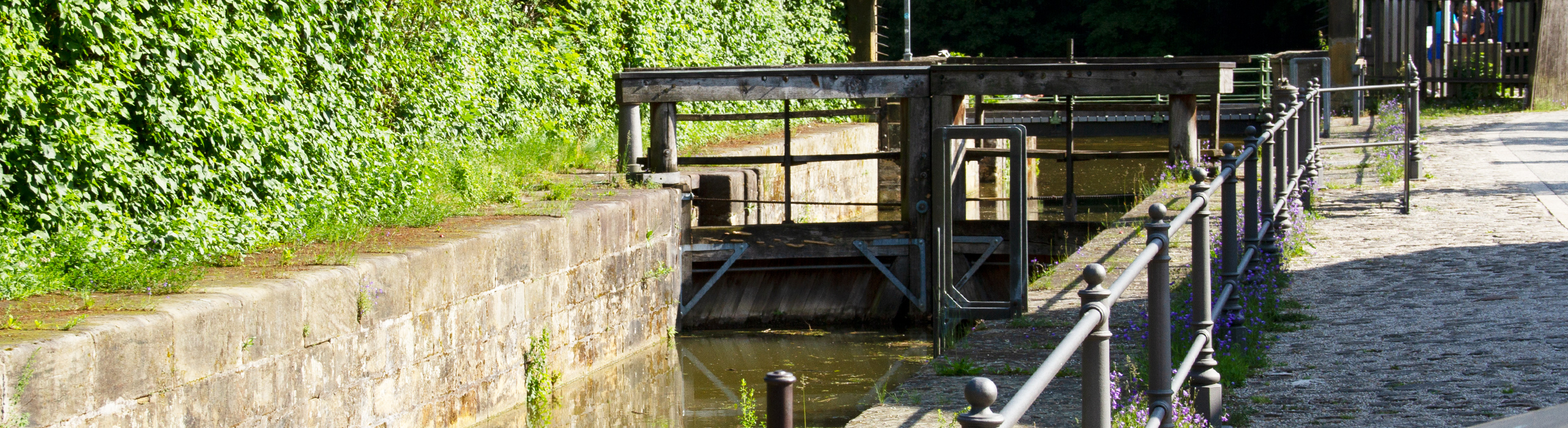Schleuse 100 visit Bamberg