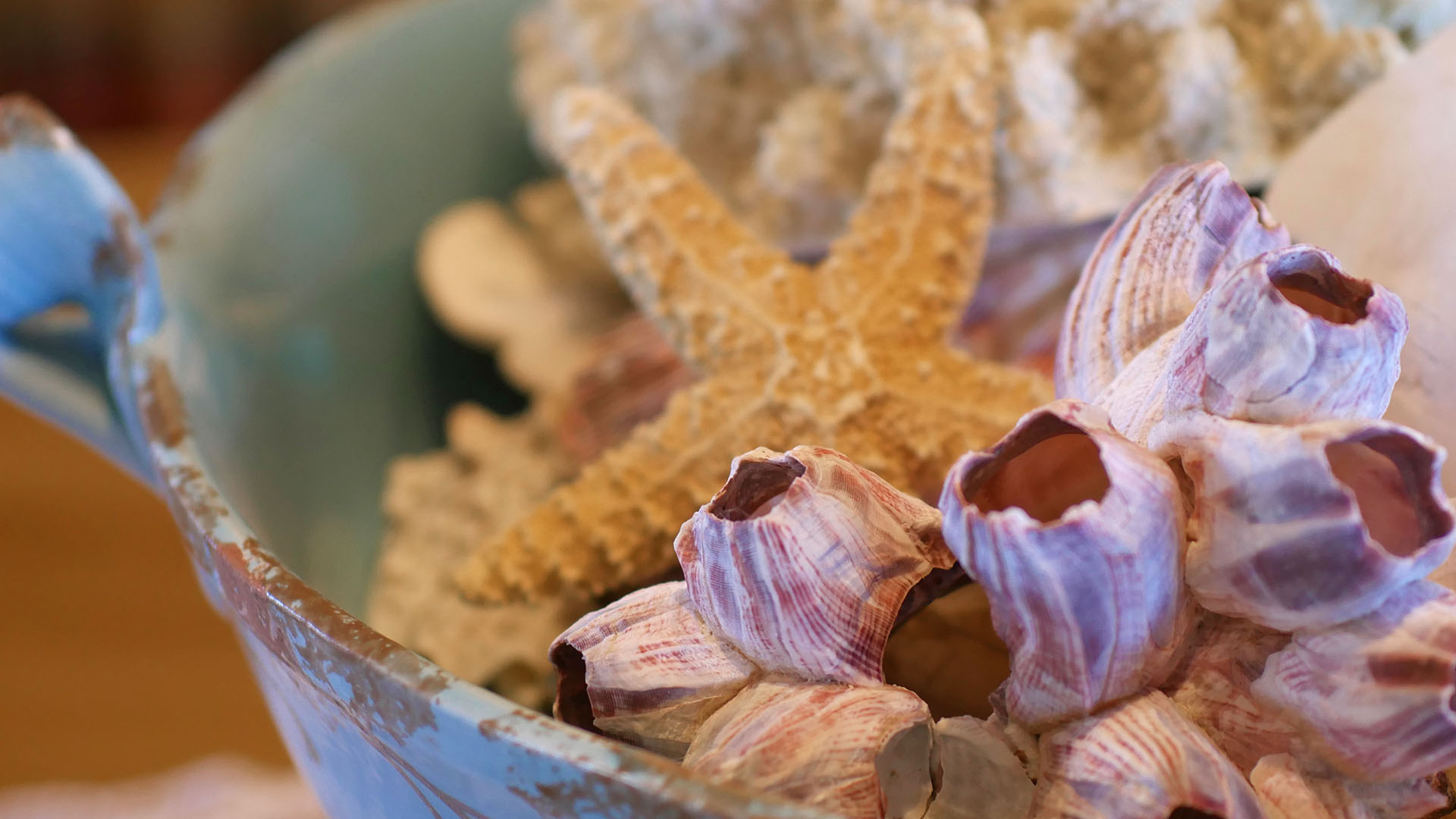 Maggie's Seaside Getaway Vacation Rental Bandon, Oregon Coast