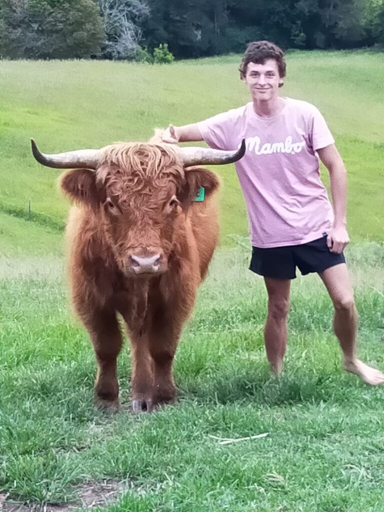 Highland Hills Farm Stay Visit Bowraville