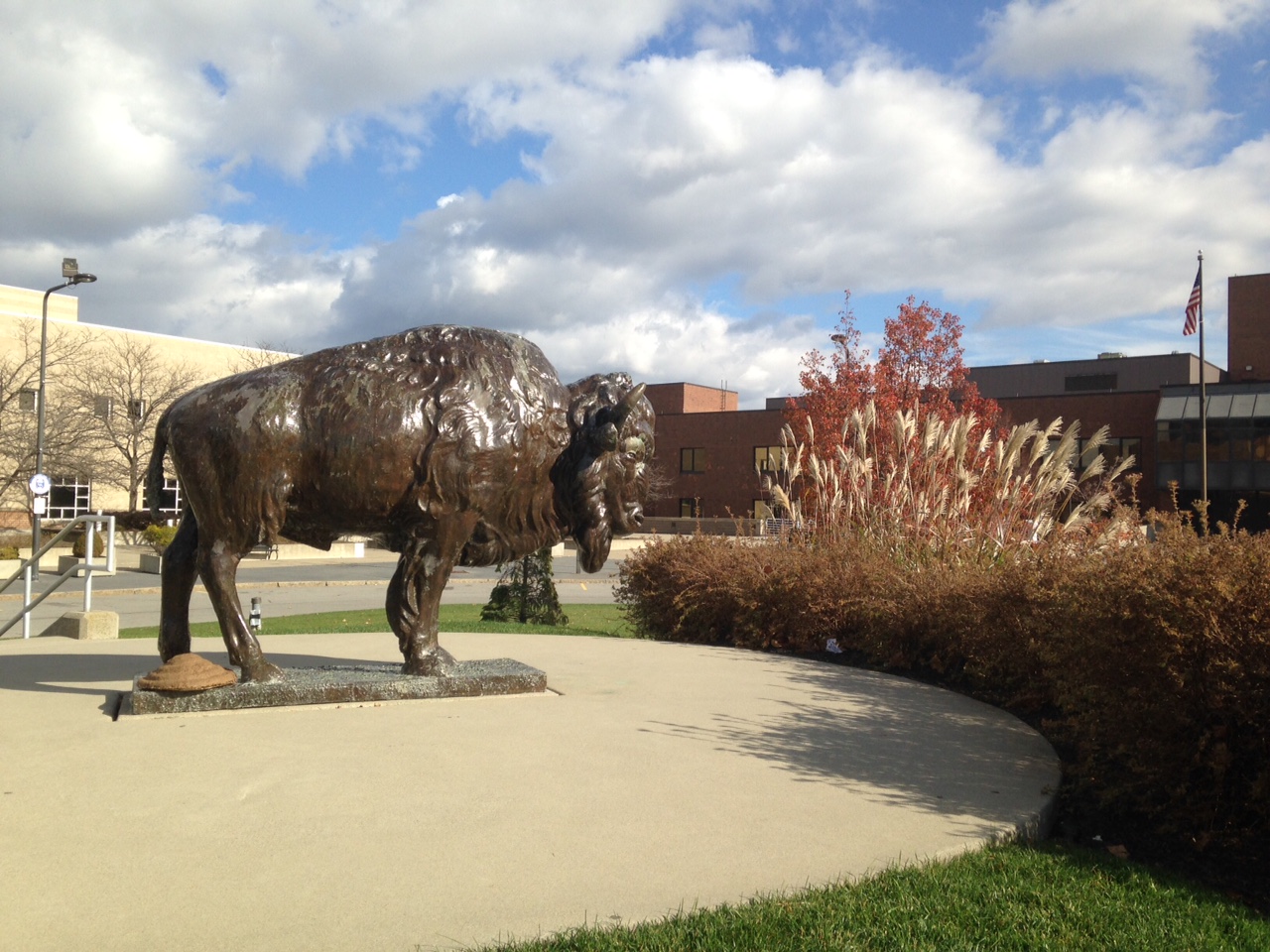 Buffalo Ny Statues at Jean Schoenfeld blog