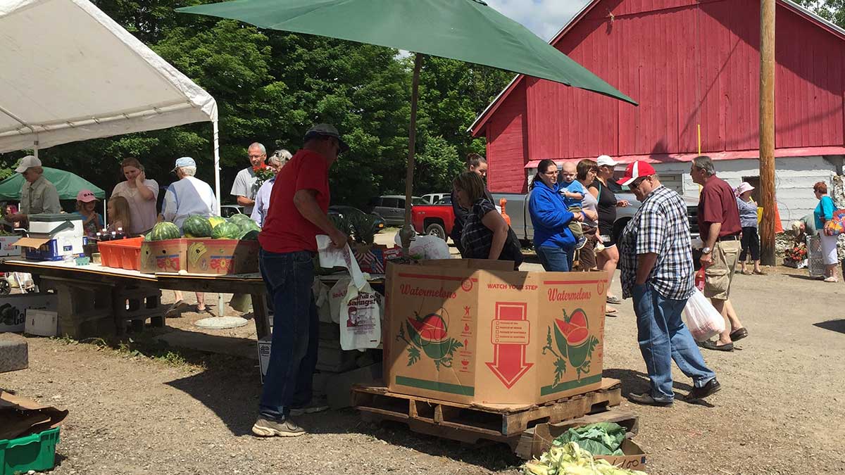 A Summer Day in Springville Visit Buffalo Niagara