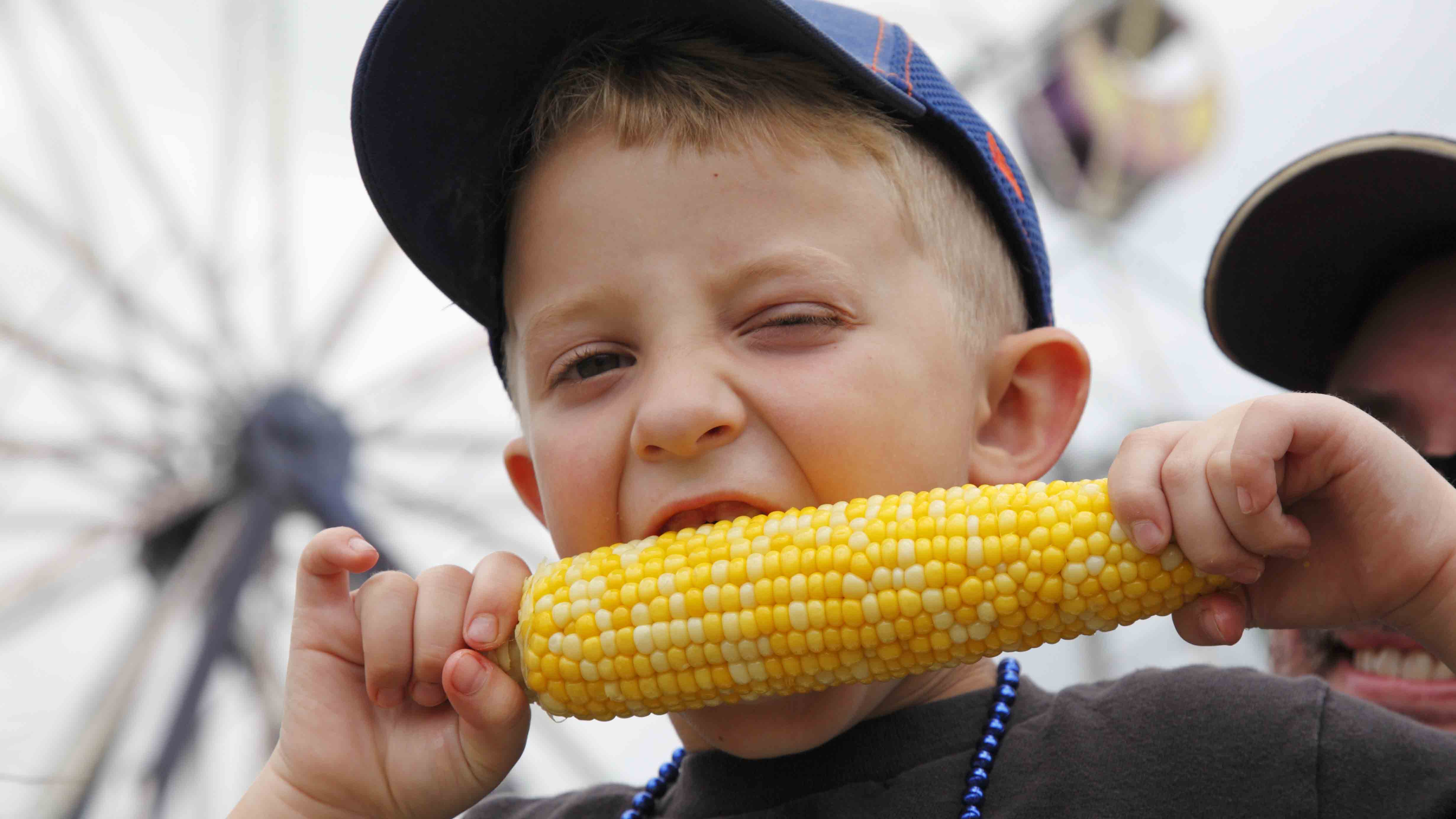 16 Astounding Festivals to Enjoy in August Visit Buffalo Niagara