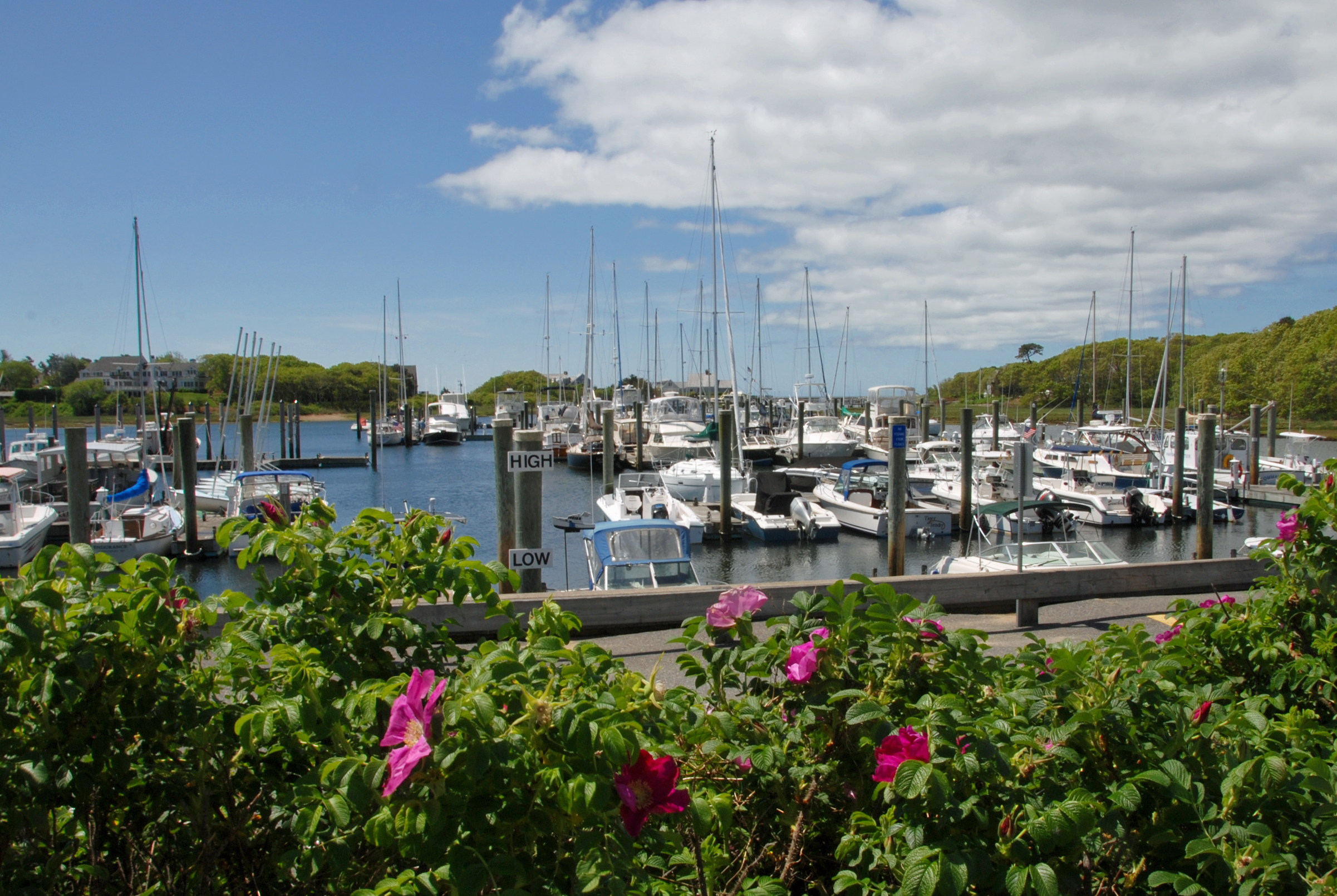 Harwich Information Cape Cod's Leading Vacation Resource