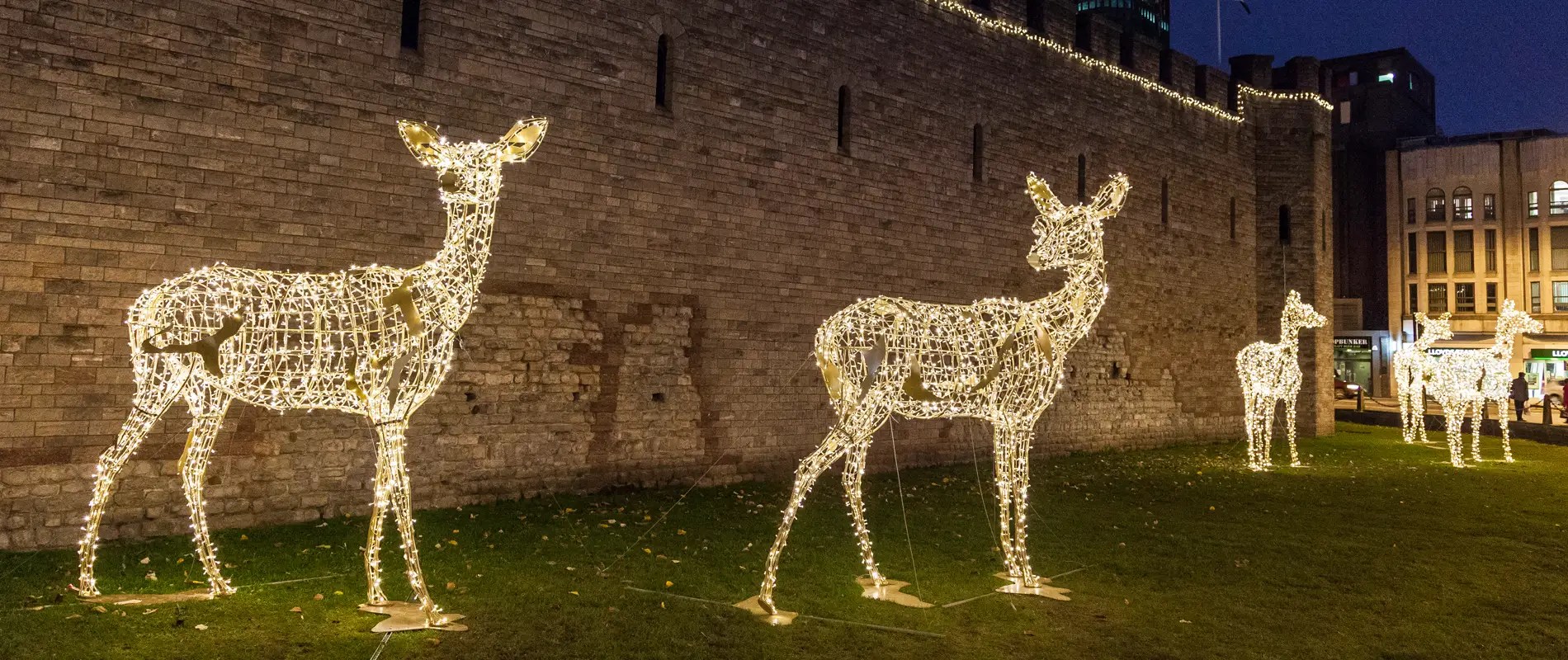 Cardiff Christmas Lights 2024 • Visit Cardiff