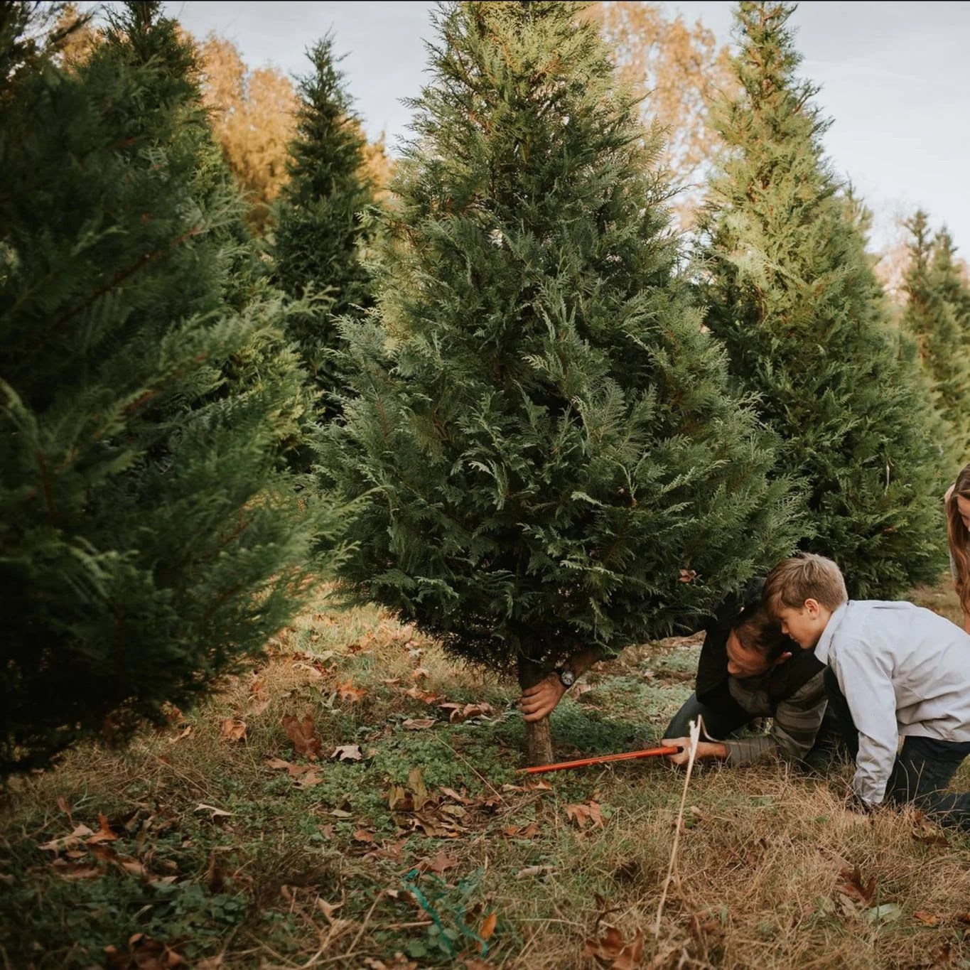 The latest news from DeSoto County Visit DeSoto County