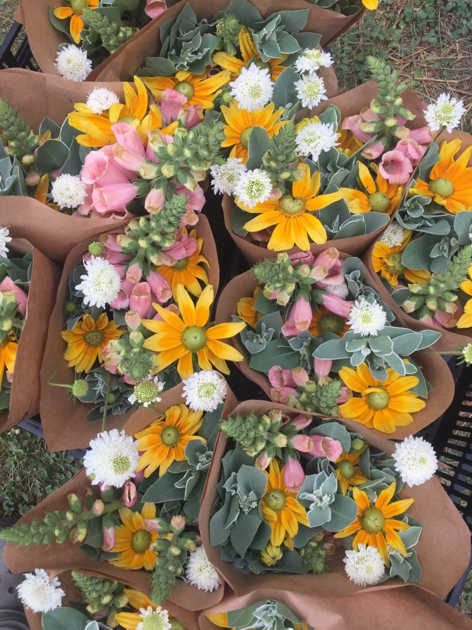 Flywheel Flowers Visit Freeport