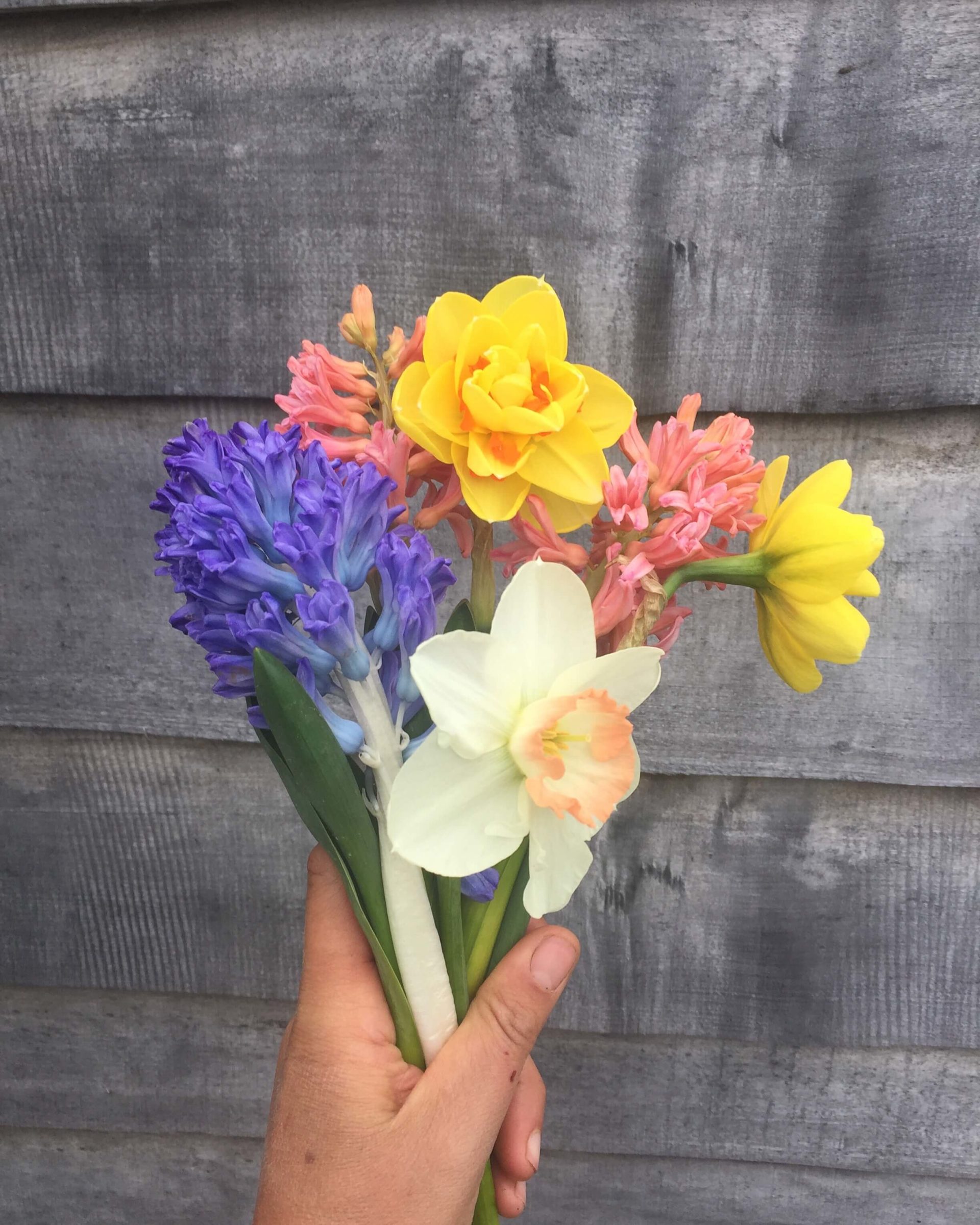 Flywheel Flowers Visit Freeport