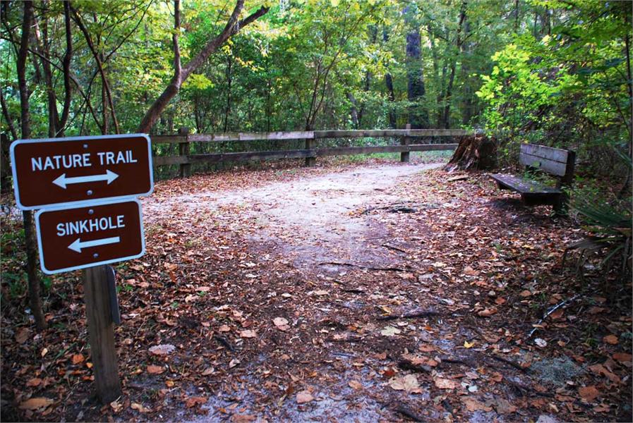 Devil’s Millhopper Geological State Park