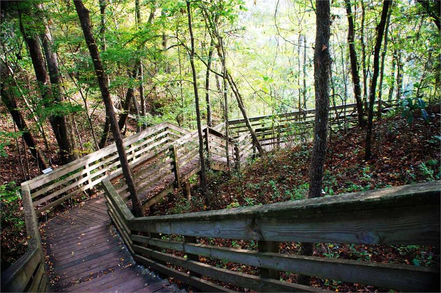 Devil’s Millhopper Geological State Park