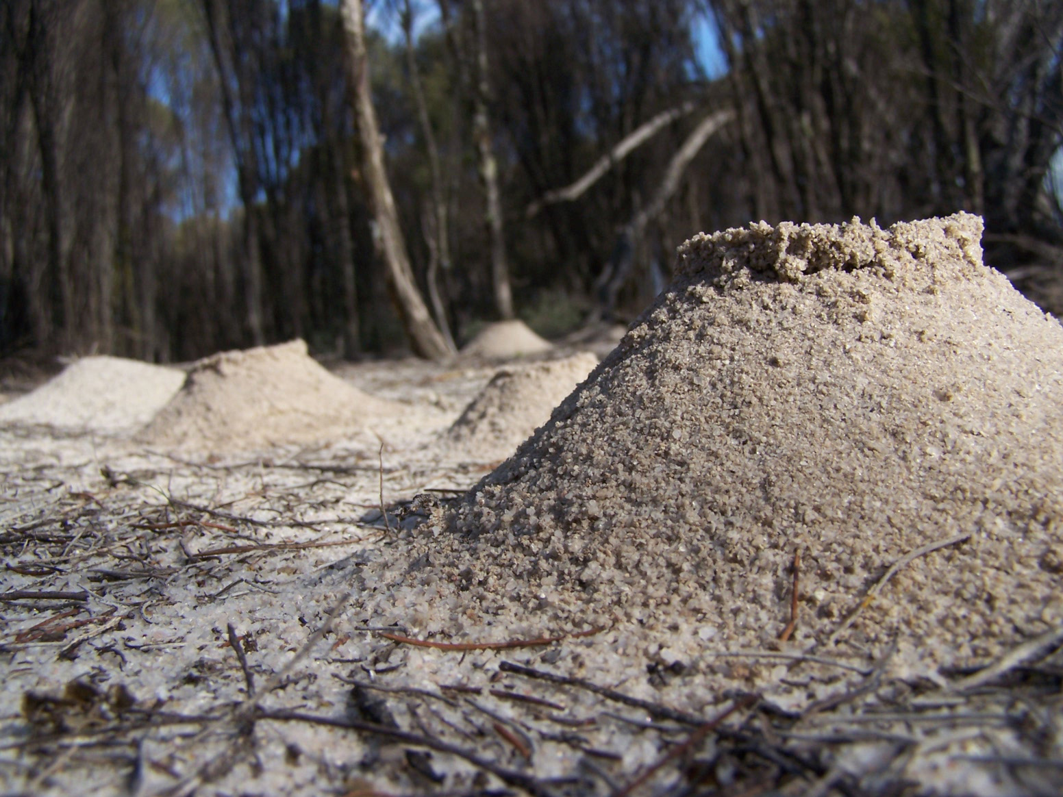 Nature Visit Goomalling