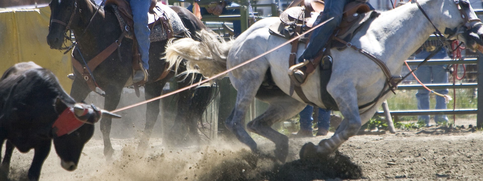 Rodeos in Grand County, Colorado Visit Grand County
