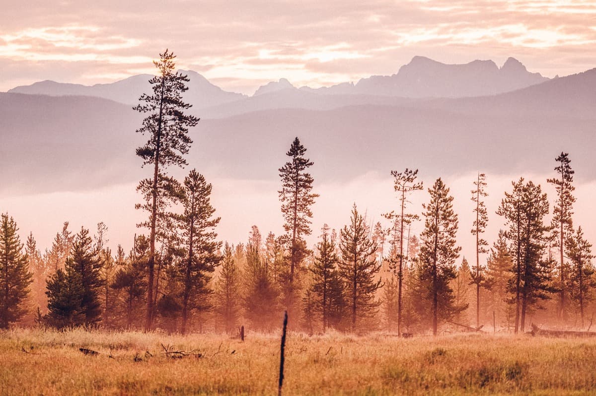 Best Hotels in Fraser, Colorado Visit Grand County