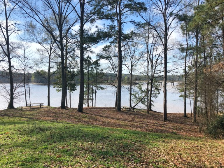 Your Guide to West Point Lake Parks Visit LaGrange