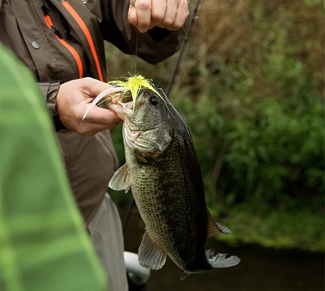 The 5 Best Places To Fly Fish In Massachusetts Massachusetts Office of Travel and Tourism
