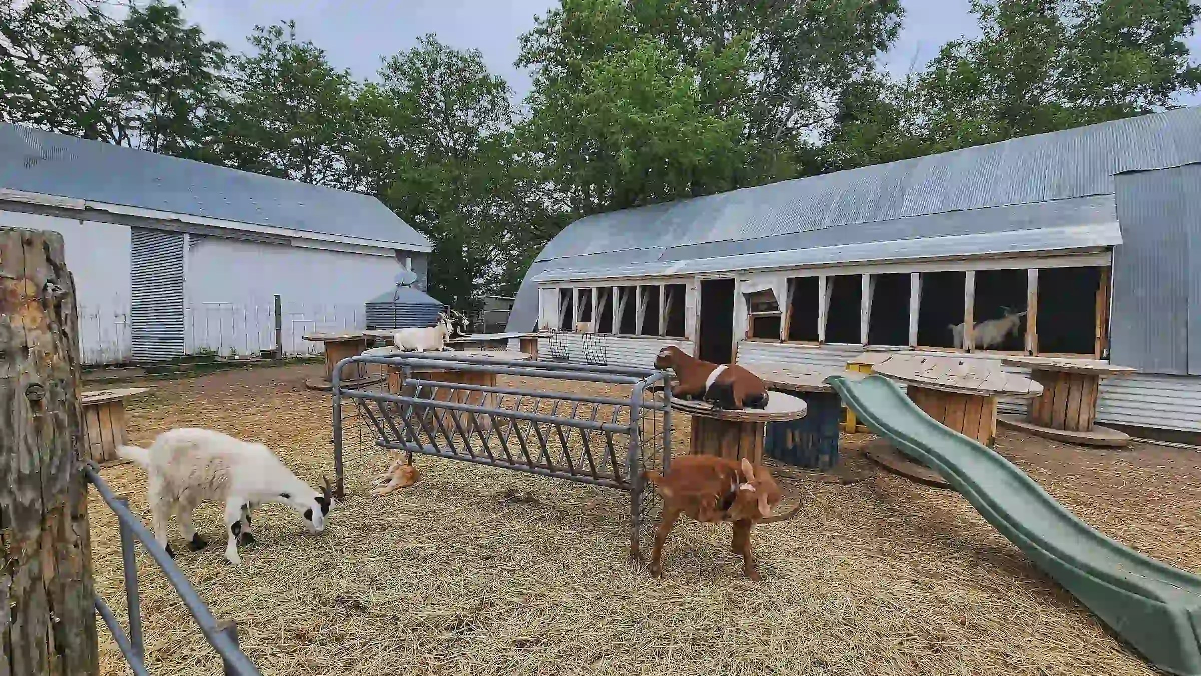 Farm Life Creamery Visit Mitchell South Dakota