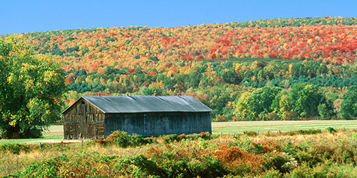 Fall Colors New England 2022 New England 2022 Fall Foliage, Scenic Drives, Tours, Leaves Change Color