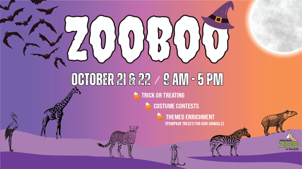 FamilyFriendly Halloween Events in Norfolk VisitNorfolk