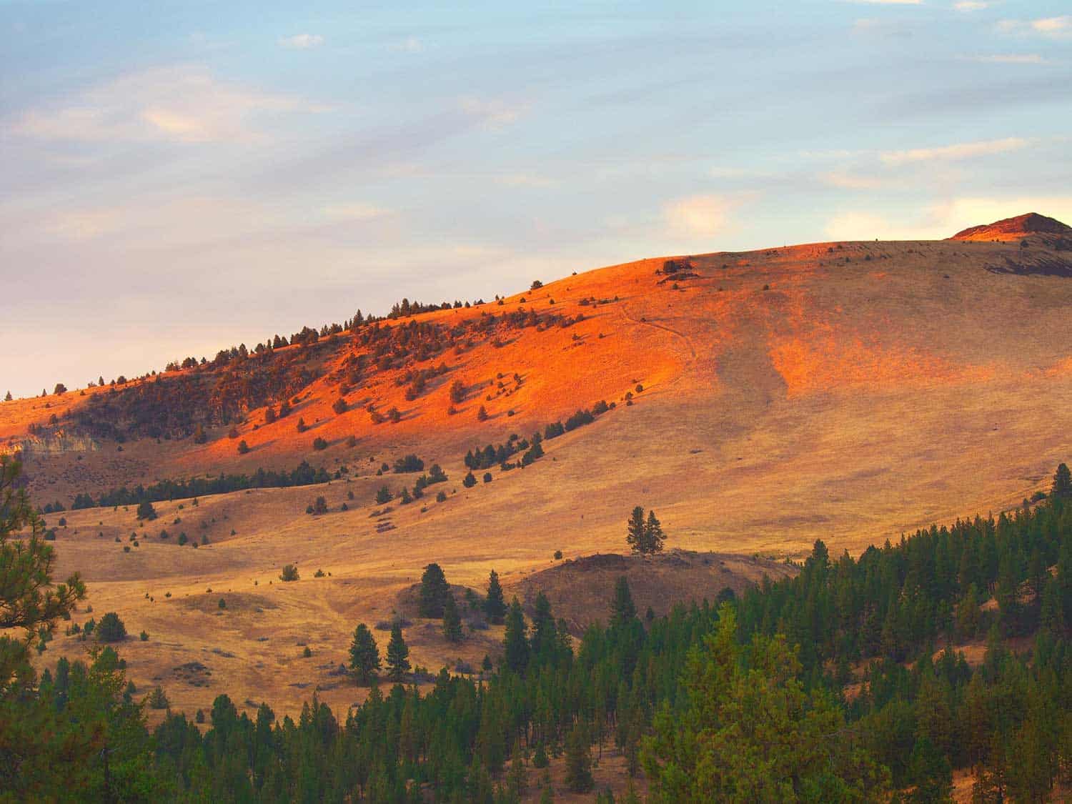 fossils Visit Oregon
