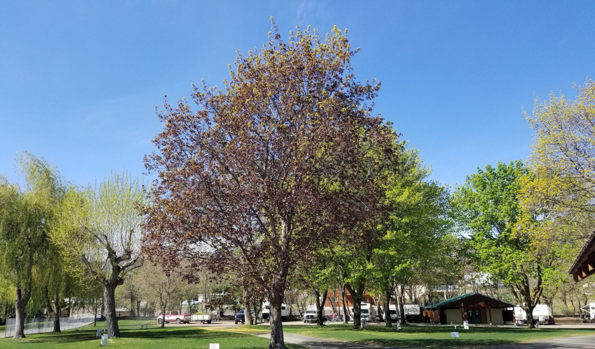 The Lakeside Resort Oliver RV and Camping Visit Penticton