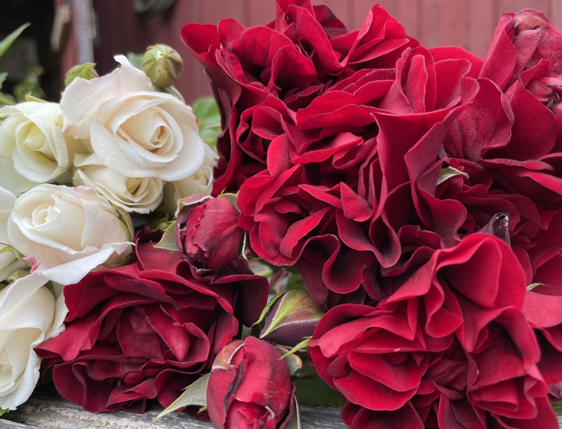 Business Spotlight Petal & Pitchfork Farm VISIT Poulsbo