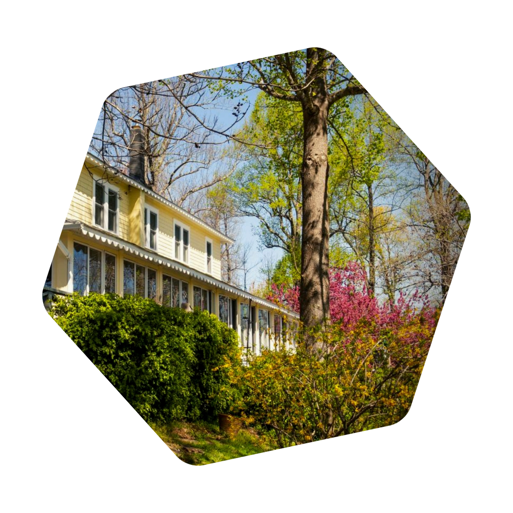 Home Visit Saluda NC